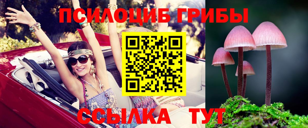 Псилоцибиновые грибы GOLDEN TEACHER Красноярск
