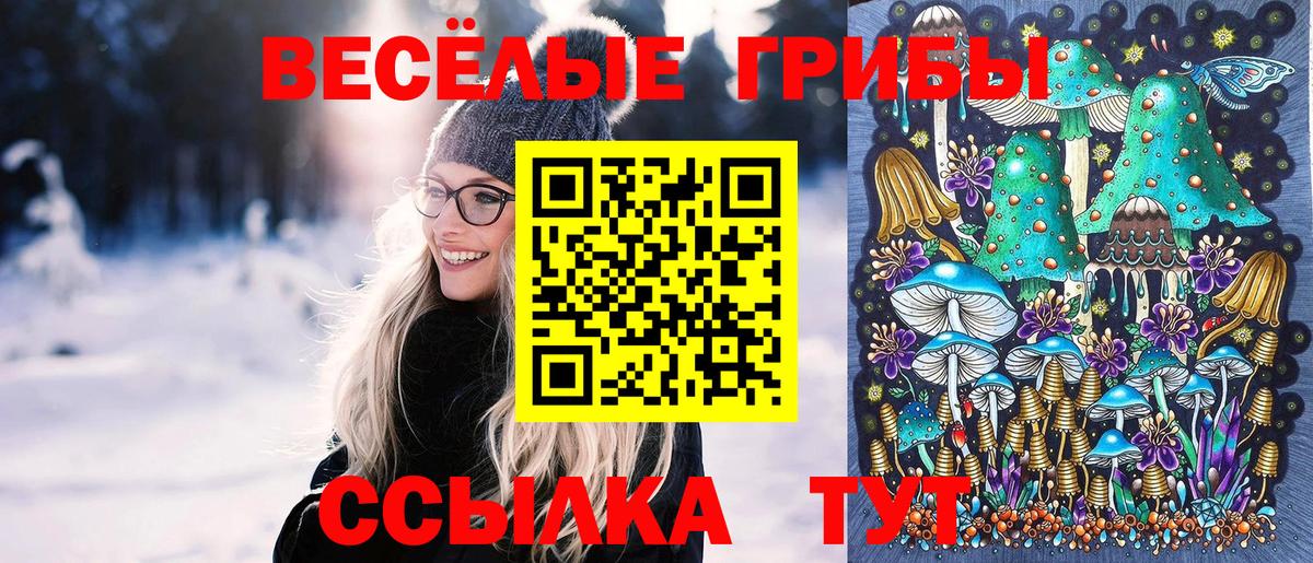 Красноярск  Псилоцибиновые грибы ЛСД  Галлюциногенные грибы GOLDEN TEACHER  Вход с VPN 