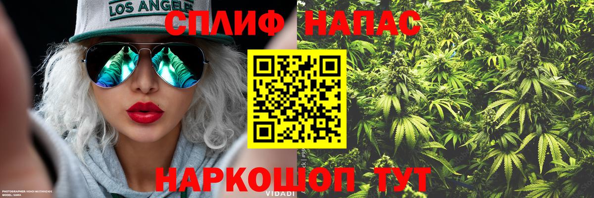 Конопля White Widow  Марихуана AK-47  Вход с VPN  Красноярск  Бошки Шишки семена 